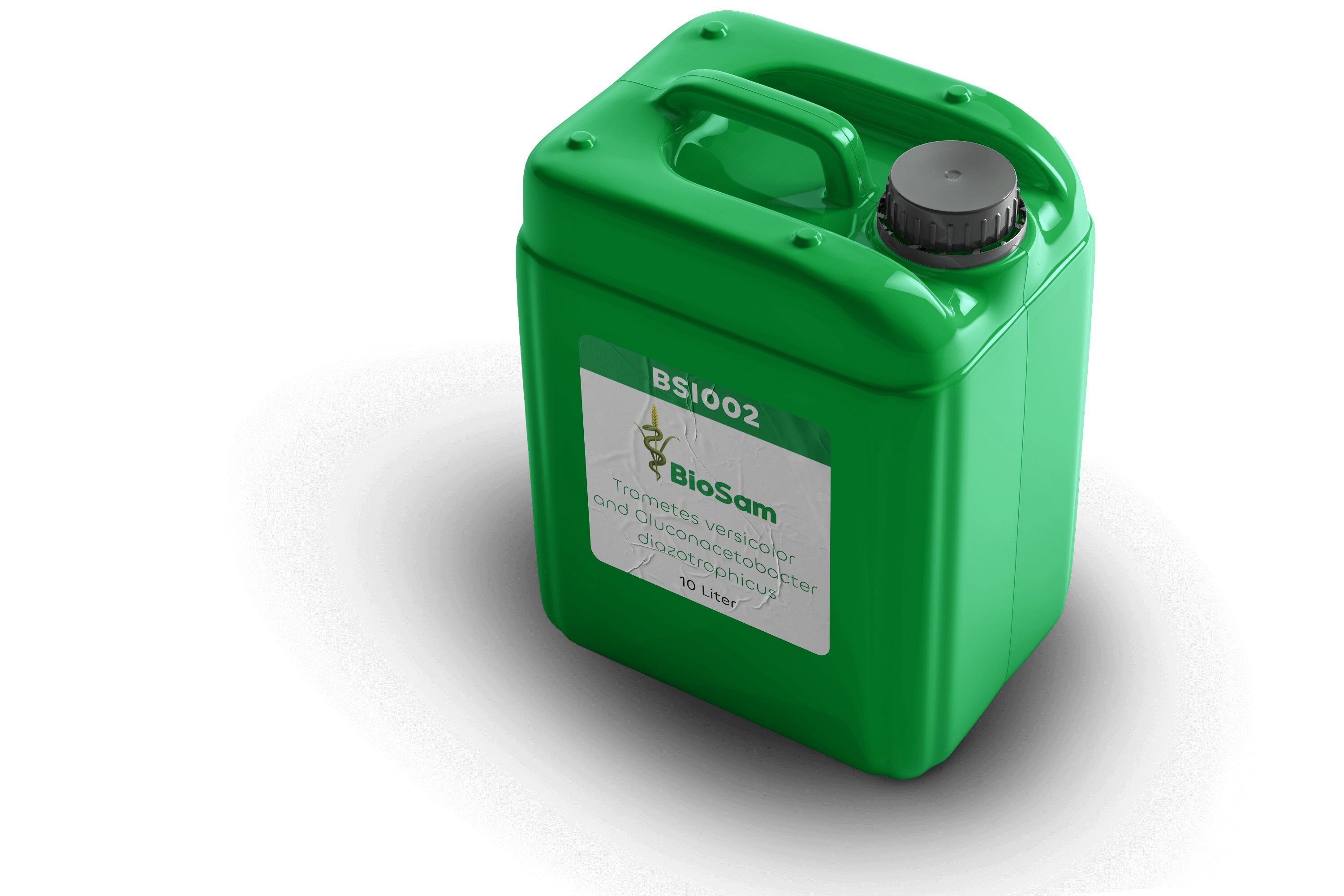 BSI002