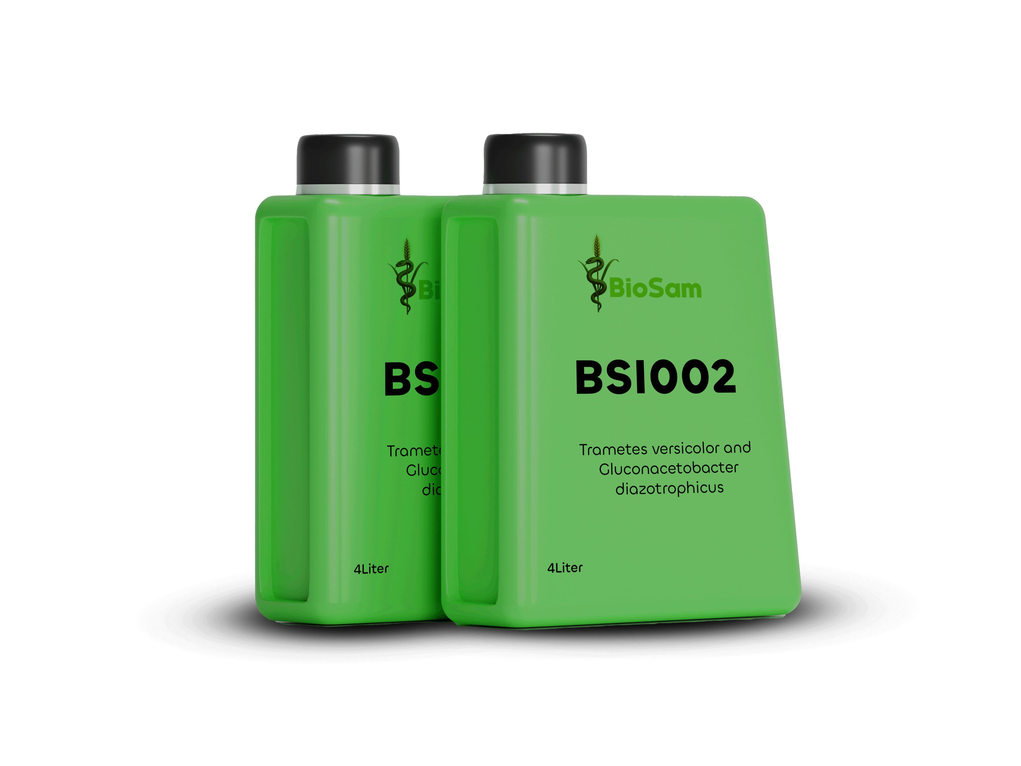 BSI002